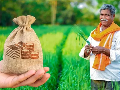 Scale of Finance for Crops Loan